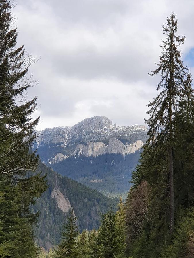Apart Hotel Center Piatra Neamt Bagian luar foto